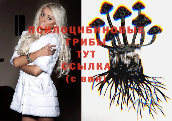 прущая мука Верея
